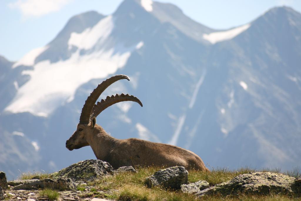 S'Huamatl Apartment Sankt Leonhard im Pitztal Bagian luar foto